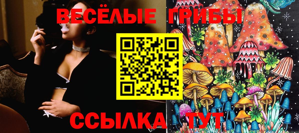 Галлюциногенные грибы Cubensis  Вход с VPN  Ижевск 
